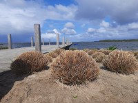 /album/winter-in-wervershoof-2020-21/nunspeet-01-jpg/